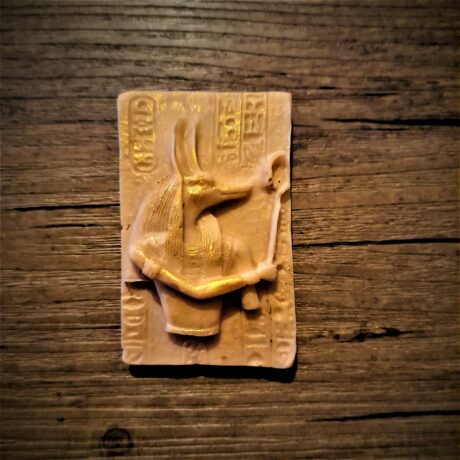 anubis cèdre (2)