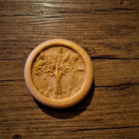 arbre cèdre (2)