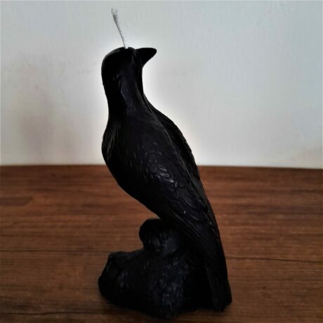 corbeau1