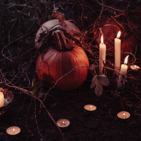 pumpkin-2594747_1920bbbb