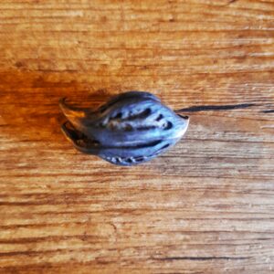 tete de chauvee souris (1)
