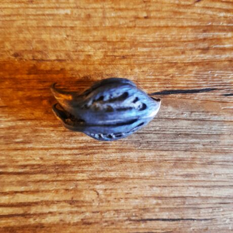 tete de chauvee souris (1)