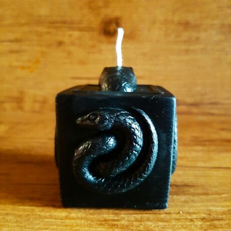 serpent noir2