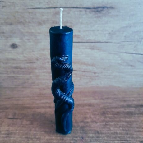 serpent noir