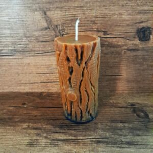 La Bûche des Anciens