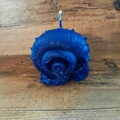 la spirale1