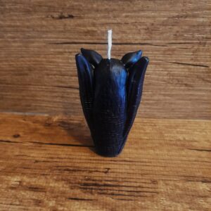 Bougie chauve souris
