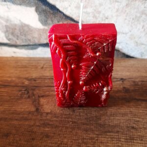 venus rouge12